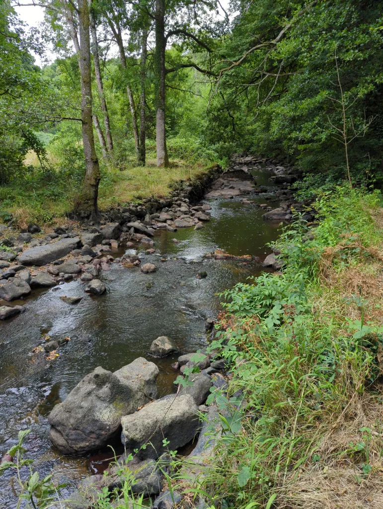 Randonnée pédestre de 8 km au chant des cailloux