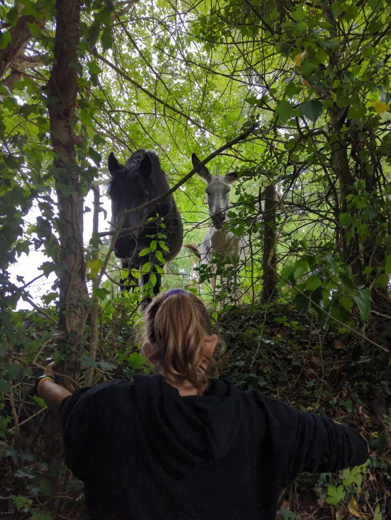 Randonnée pédestre de 8 km au chant des cailloux