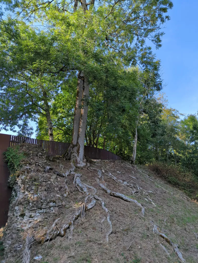 Le château Ganne
