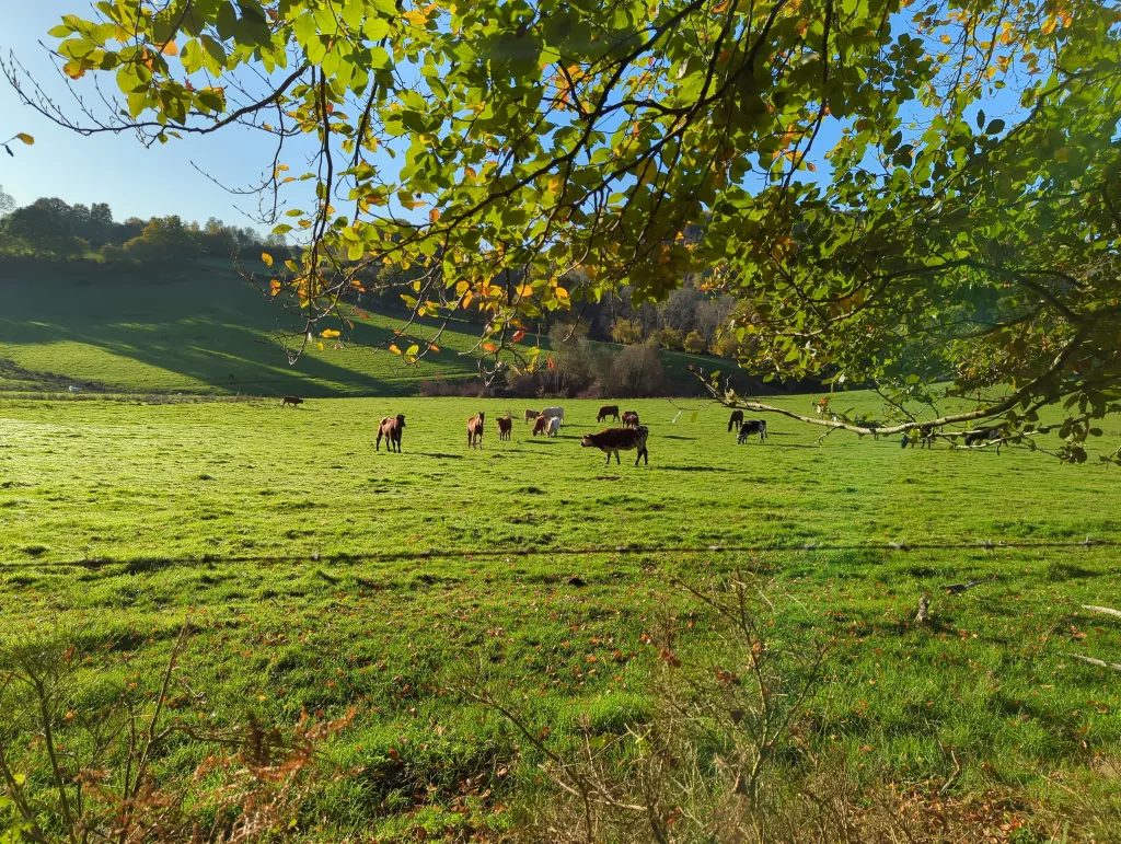 Photo "Les Gorges de Saint-Aubert"