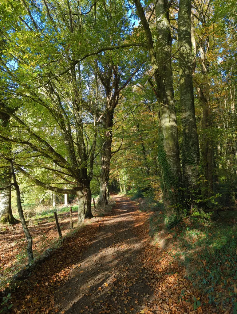 Photo "Les Gorges de Saint-Aubert"