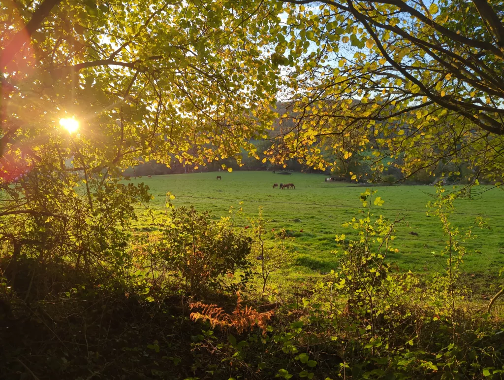 Photo "Les Gorges de Saint-Aubert"