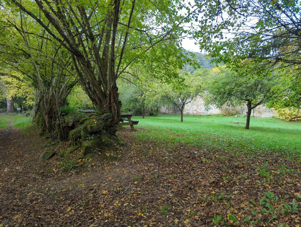 Photo "Les Gorges de Saint-Aubert"