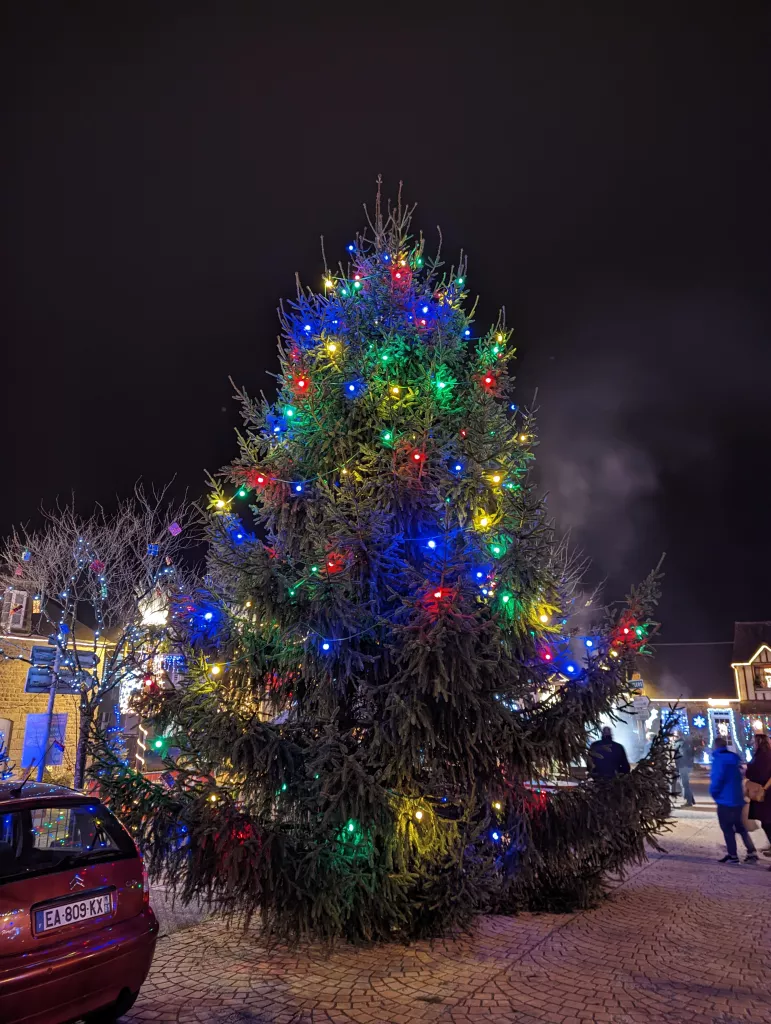 Les illuminations de Noël à la Sauvagère