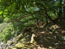 Couverture "Les gorges de Villiers"