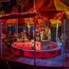 Les illuminations de Noël à la Sauvagère