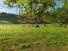 Photo "Les Gorges de Saint-Aubert"