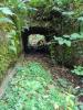 Photo "Les Gorges de Saint-Aubert"