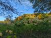 Photo "Les Gorges de Saint-Aubert"